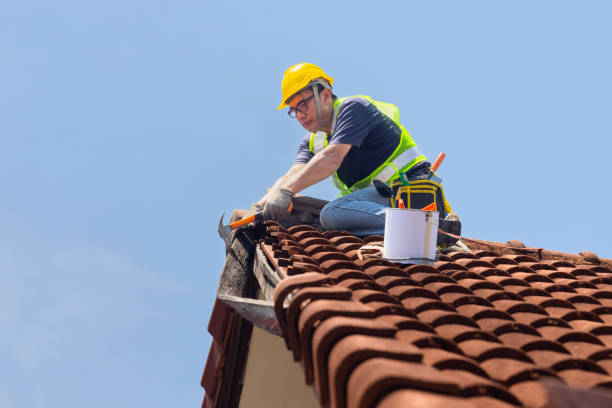 Best Metal Roofing Installation  in Clay City, KY